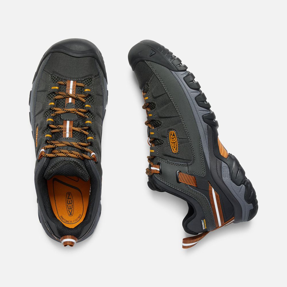 Keen Outdoor Ayakkabı Erkek Siyah/Altın - Targhee Exp Waterproof - Türkiye ZOLB46195